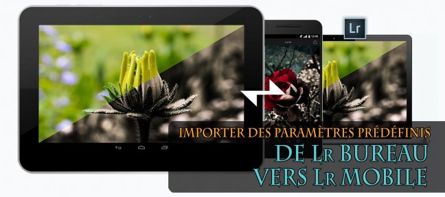 Importer des Paramètres Prédéfinis de Lightroom Bureau vers Lightroom Mobile