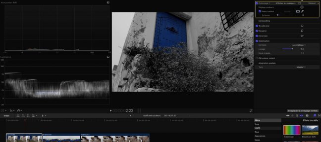 Gratuit : Isoler une couleur avec Final Cut