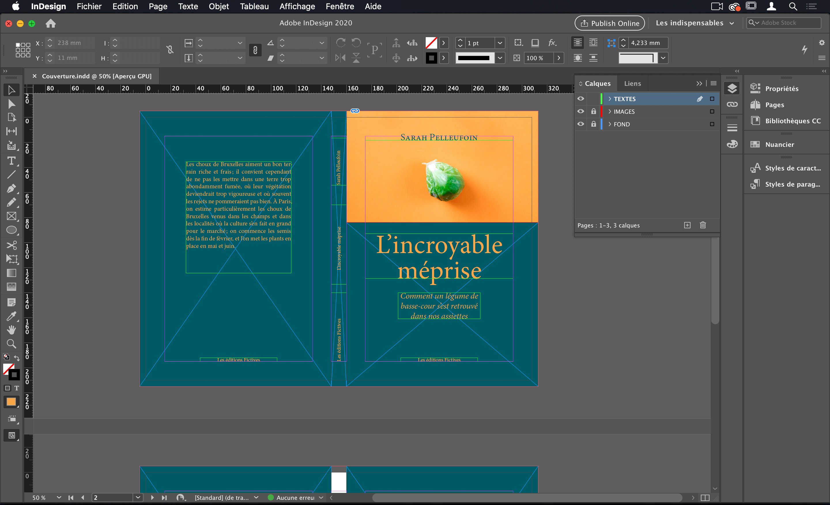 What is Adobe InDesign | Basic Concepts About Adobe InDesign (2023)