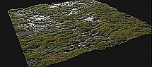 10634261.jpg