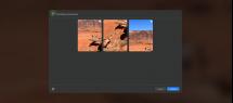 10786581.jpg