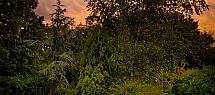 Jardin4.jpg