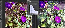 tuto-fsofcg-effet-amaro-aftereffects-screen2.jpg