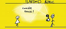 1233.jpg