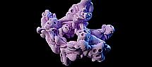 rendu octane.jpg
