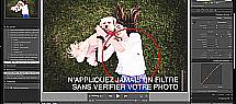 10586691.jpg