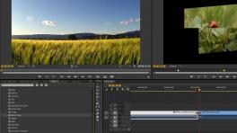 tuto-fsofcg-redgiant-universe-aftereffects-screen17.jpg