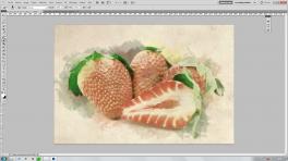 01-Aquarelle-fraise.jpg