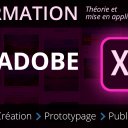 Formation complète sur Adobe XD