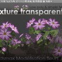 Fleurs en 3d avec texture transparente