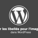 Gratuit : Redéfinir les libellés pour l'image à la Une dans WordPress