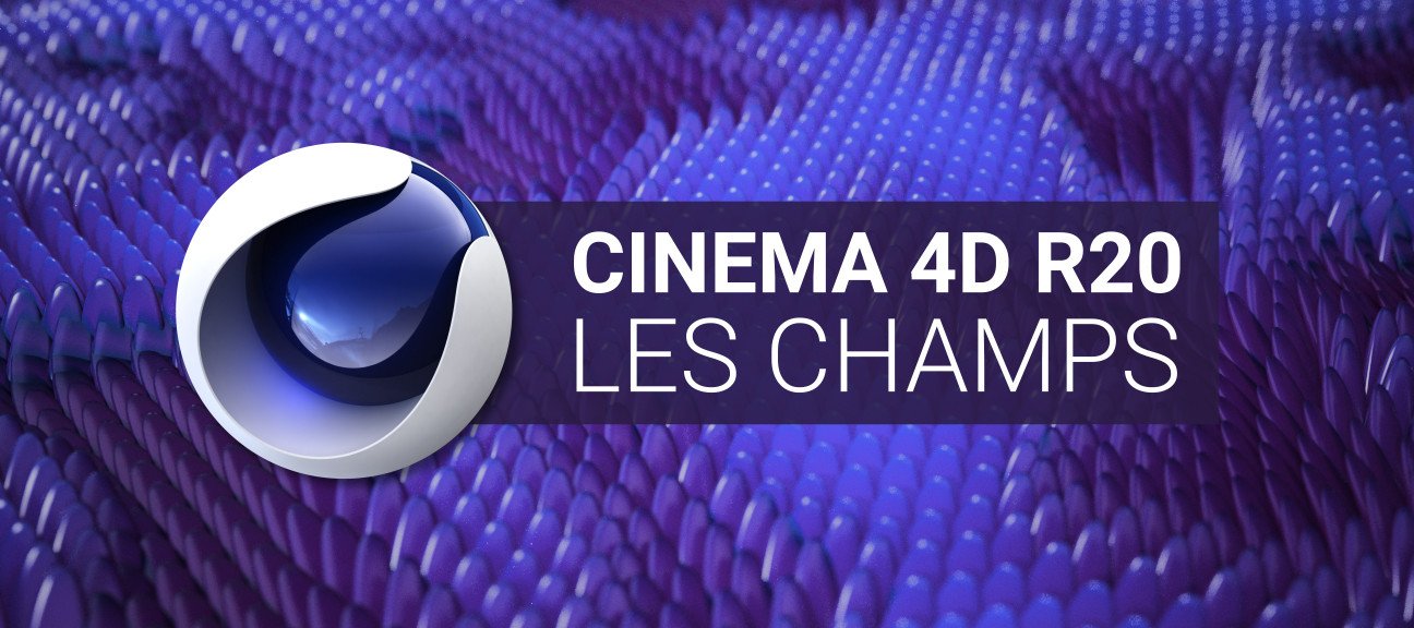 Cinema 4D R20 : Les Champs