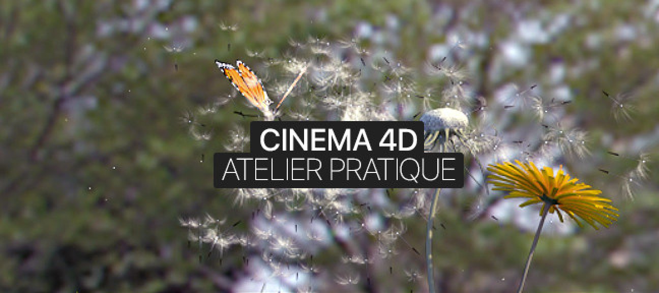 Atelier Pratique Cinema 4D : La force du papillon