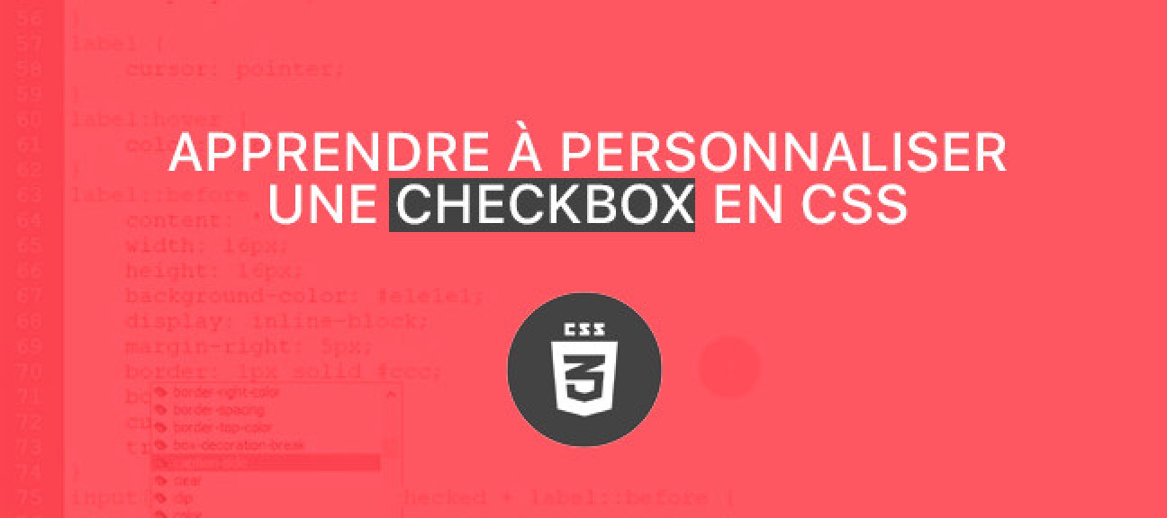 Apprendre à personnaliser une checkbox en CSS