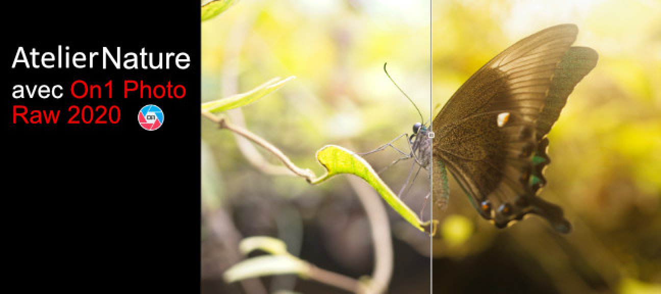 Atelier Nature sur On1 Photo Raw