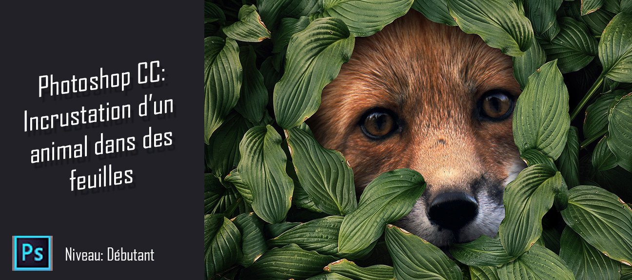 Gratuit Photomontage - Incruster un renard dans un buisson