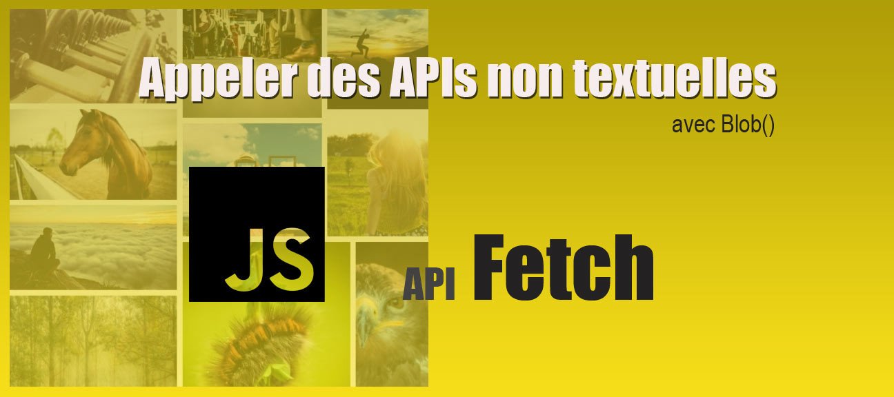 3/4. Api Fetch JS. Contacter des données non textuelles