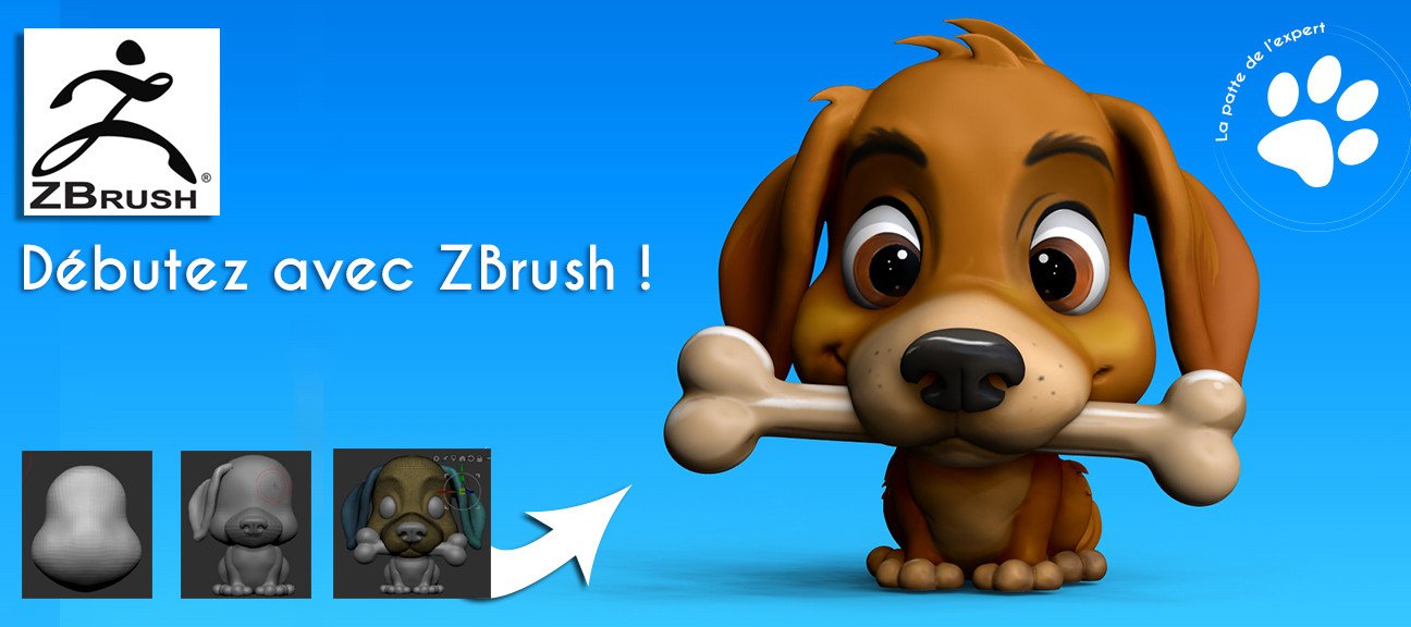Débuter ZBrush avec Puppie !