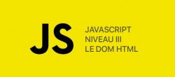 JavaScript de Niveau III : Le DOM HTML