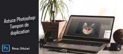 Astuce Photoshop gratuite : Tampon de duplication