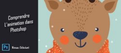 Comprendre l'animation dans Photoshop