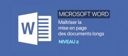 Word : Maîtriser la mise en page des documents longs. Niveau 02