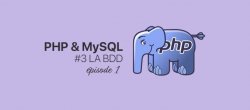 #3 PHP et MySQL : La BDD - Niveau 1
