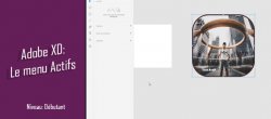 Gratuit comment utiliser les actifs dans Adobe XD