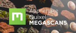 Gratuit : Apprendre Quixel Megascans