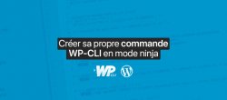 Créer sa propre commande WP-CLI en mode ninja