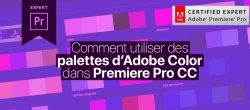 Gratuit : Comment utiliser des palettes de Color dans Premiere Pro CC