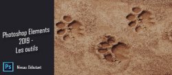 Photoshop Elements 2019 - Les outils