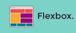 Gagnez du Temps en Maîtrisant Flexbox !