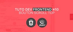 Dev. FrontEnd #10 : Bouton de scroll top