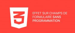 Effet sur champs de formulaire sans programmation