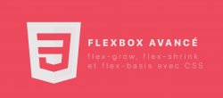 Flexbox Avancé : flex-grow, flex-shrink et flex-basis