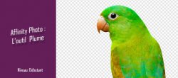 Affinity Photo - Les outils de plume