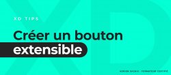 Gratuit Comment créer un bouton extensible sur Adobe XD