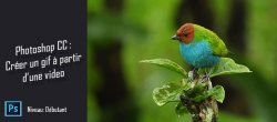 Photoshop gratuit : Créer un Gif à partir d'une vidéo