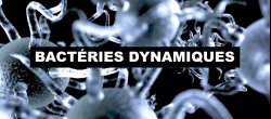 Bactéries dynamiques sur Cinema 4D