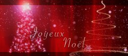 Animation de noël