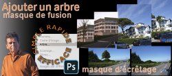 Photoshop : comment ajouter un arbre ?