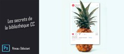 Les secrets de la Bibliothèque CC