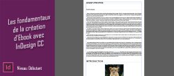 Les fondamentaux de la création d'Ebook avec InDesign CC