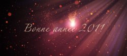 Bonne année