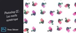 Gratuit : Création d'un motif symétrique dans Photoshop