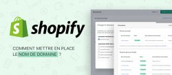 Shopify : Mettre en Place le nom de domaine