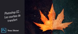 Astuce Photoshop - Les courbes de transfert de dégradés