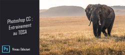 Photoshop CC - Entraînement à la certification TOSA