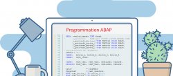SAP S4/HANA : Initiation à l'ABAP (les bases pour débutant)